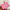 Banner de promoción